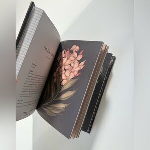 Floriography : A Visual Language of Flowers by Jessica Roux